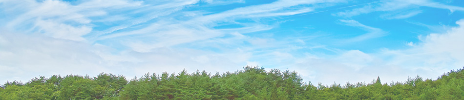 債務整理・過払い金請求は姫路の谷林一憲法律事務所へ